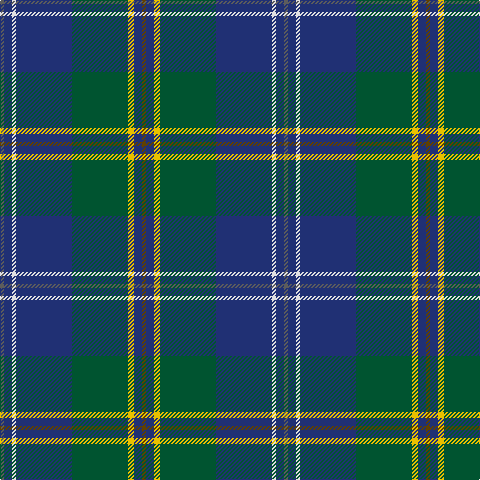 N/4 DB8 LN4 DB56 G56 Y6 DB8 T/4 tartan Tartan detail