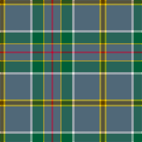 T/12 Y6 N84 LN8 G36 Y4 N24 R/6 tartan Tartan detail