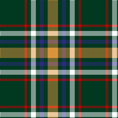 DG/100 R10 DG16 W20 DG16 DB16 DG16 O/42 tartan Tartan detail