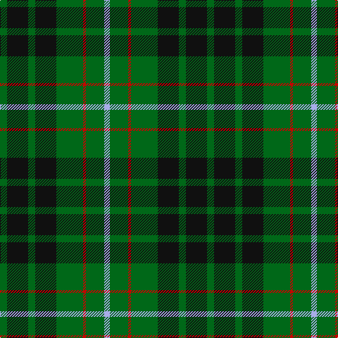 G/10 K30 G10 K30 G38 R4 G26 LP/8 tartan Tartan detail