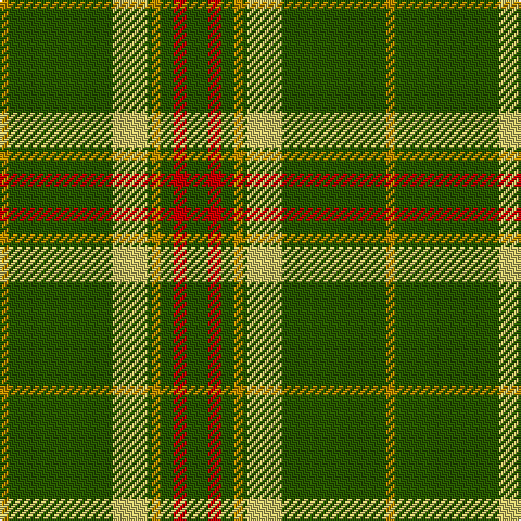 DY/4 G48 LG16 G2 DY4 G6 R6 G/10 tartan Tartan detail
