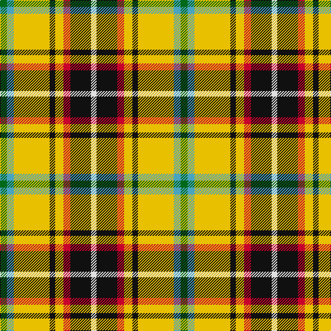 G/10 B10 Y52 K8 Y12 R10 K30 LN/8 tartan Tartan detail