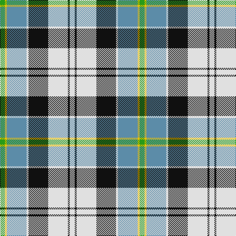 G/10 Y4 B40 LN4 K40 LN40 K4 LN/10 tartan Tartan detail