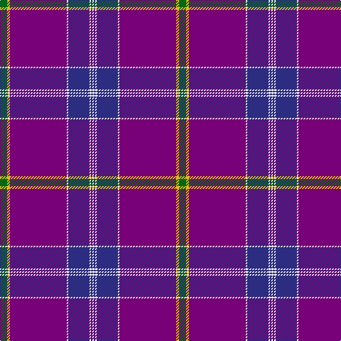 G/10 Y4 P80 W2 DB30 W2 DB2 W/2 tartan Tartan detail