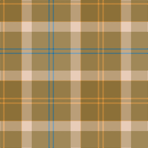 LT/10 O5 LT54 O2 LR32 LTa54 B4 LTa/10 tartan Tartan detail