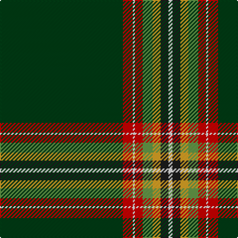 DG/124 R10 W2 R8 LG10 Y8 K8 W/4 tartan Tartan detail