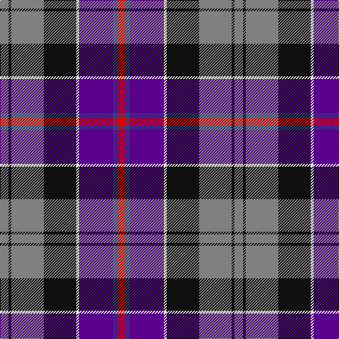N/12 K4 N46 K46 LN4 P48 B6 R/12 tartan Tartan detail