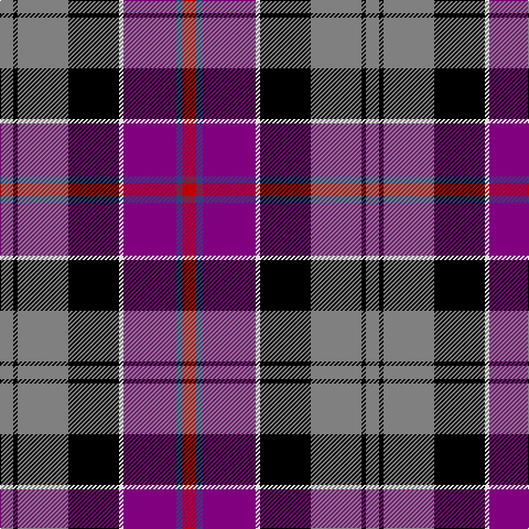 N/12 K4 N46 K46 LN4 P48 B6 R/12 tartan Tartan detail