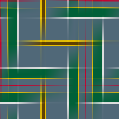 R/6 N24 Y4 G36 LN8 N84 Y6 T/12 tartan Tartan detail