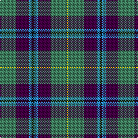 G/28 DP22 B6 K4 B6 DP22 G28 Y/2 tartan Tartan detail