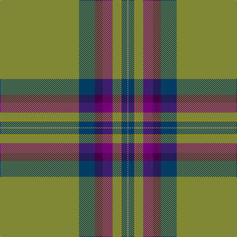 G/160 DB32 DP16 P20 G16 DY2 DB12 N/2 tartan Tartan detail