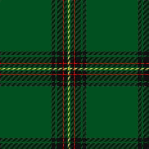 G/166 K12 G6 K18 R4 K10 G4 Y/4 tartan Tartan detail