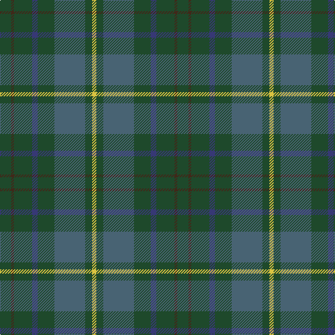 DG/16 T4 DG26 DB8 DG24 N44 DG10 Y/6 tartan Tartan detail