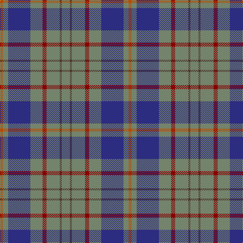 DO/6 N10 DB44 N24 DR8 N26 T4 N/16 tartan Tartan detail