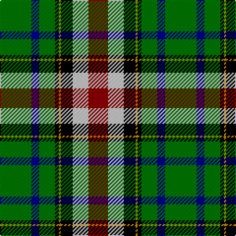 G/32 DB8 G16 K4 DY2 K12 N16 DR/20 tartan Tartan detail