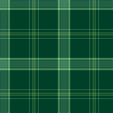 G/32 DG2 LGa8 DG82 LGa2 DG12 LG4 DG/4 tartan Tartan detail