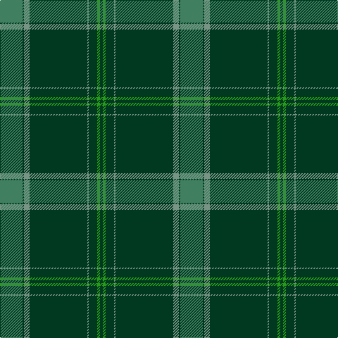 G/32 DG2 LG8 DG82 LG2 DG12 Ga4 DG/4 tartan Tartan detail