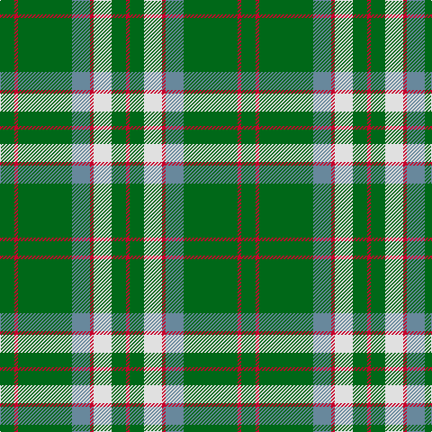 G/16 R4 G60 B20 R4 LN20 G16 R/4 tartan Tartan detail
