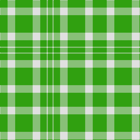 G/4 G22 LN26 G60 LN26 G22 LN4 G/16 tartan Tartan detail