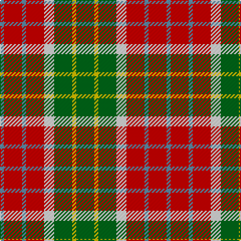 B/4 R18 B4 R18 LN10 G18 Y4 G/18 tartan Tartan detail