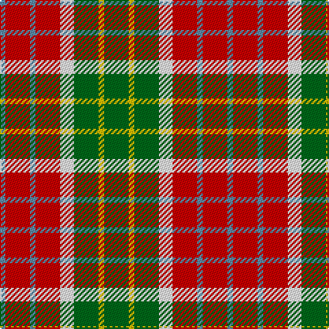 B/4 R18 B4 R18 W10 G18 Y4 G/18 tartan Tartan detail