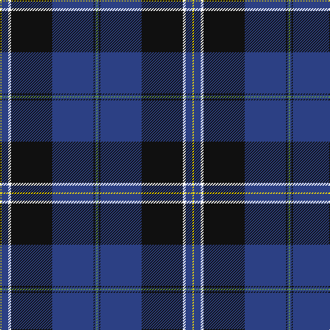 Y/2 B10 W4 K60 B60 K2 B2 LG/2 tartan Tartan detail