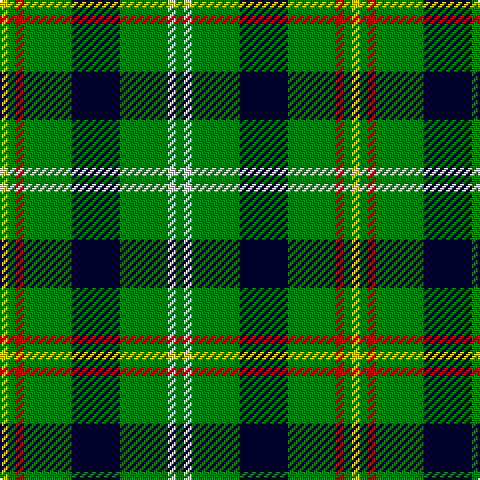 G/4 LN4 G24 DB24 G24 R4 G4 Y/4 tartan Tartan detail