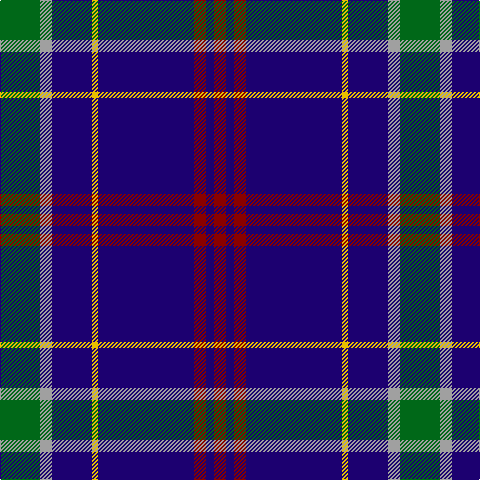 DR/12 DB8 DR12 DB96 Y6 DB40 N12 G/40 tartan Tartan detail