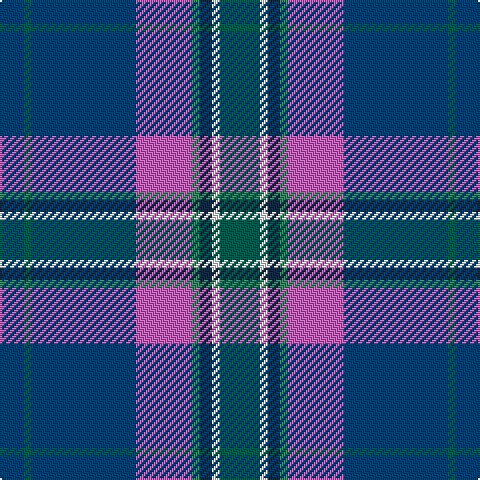 DB/12 Ga4 DB52 P28 G4 DN6 W4 Ga/20 tartan Tartan detail