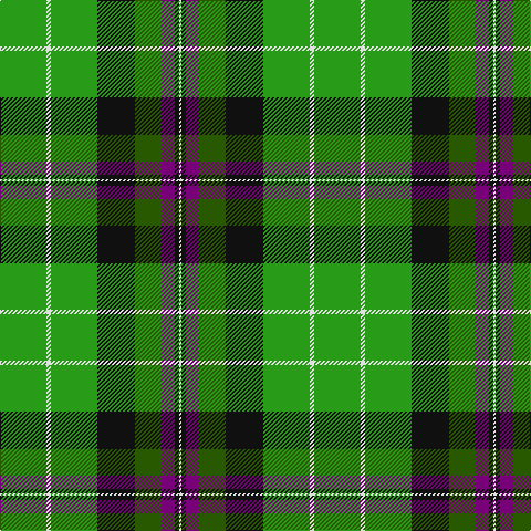 Ga/42 LN4 Ga42 K34 G24 P12 K4 LN/2 tartan Tartan detail