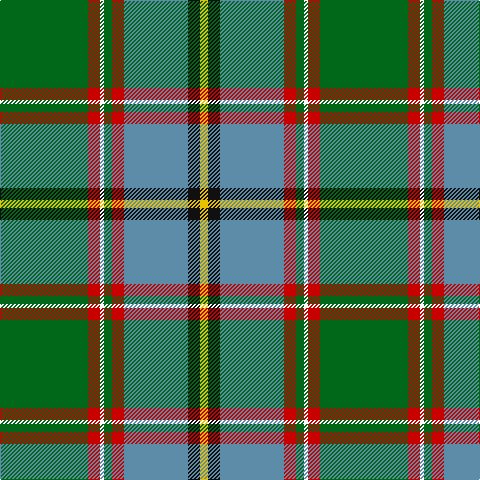 G/88 R12 W4 G8 R12 B64 K12 Y/8 tartan Tartan detail