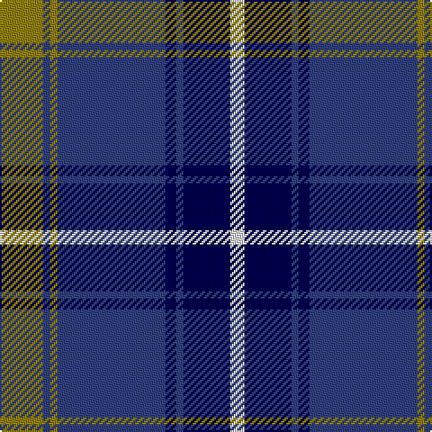 LG/24 B4 LG4 B60 DB6 B4 DB26 LN/8 tartan Tartan detail