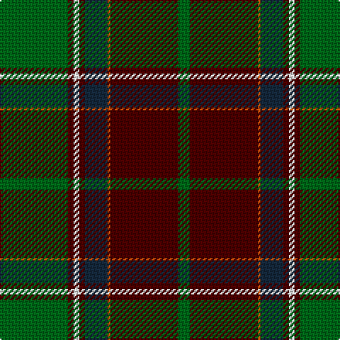 G/48 DR4 W4 DR4 DN16 DO2 DR48 G/8 tartan Tartan detail