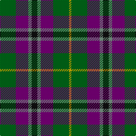 G/28 P22 LG6 K10 LG6 P22 G28 Y/4 tartan Tartan detail