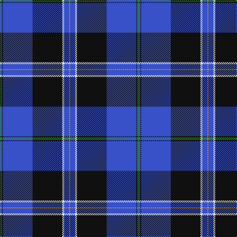 G/2 B2 K2 B60 K60 LN4 B10 O/2 tartan Tartan detail