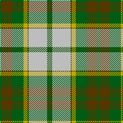G/4 T20 G22 Y8 T2 LN36 G4 T/2 tartan Tartan detail
