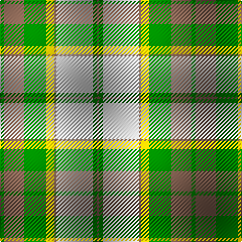 G/4 LT20 G22 Y8 LT2 LN36 G4 LT/2 tartan Tartan detail