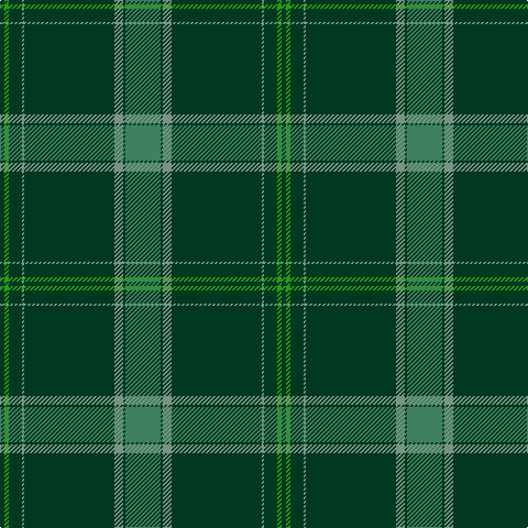 DG/4 Ga4 DG12 LG2 DG82 LG8 DG2 G/32 tartan Tartan detail
