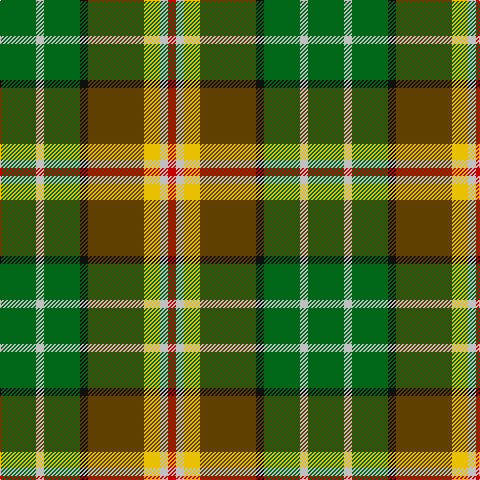 G/36 N8 G36 K8 T56 Y16 N8 R/8 tartan Tartan detail