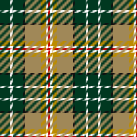 DG/36 W8 DG36 K8 LT56 DY16 W8 R/8 tartan Tartan detail