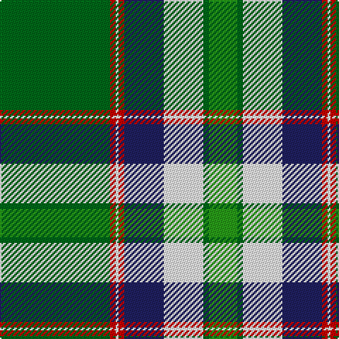Ga/78 R4 W2 R4 DB28 W28 Ga4 G/20 tartan Tartan detail