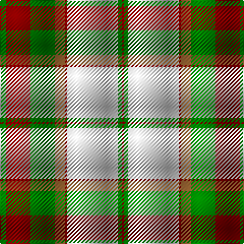 DR/2 G4 LN50 DR2 LT10 G24 DR24 G/6 tartan Tartan detail