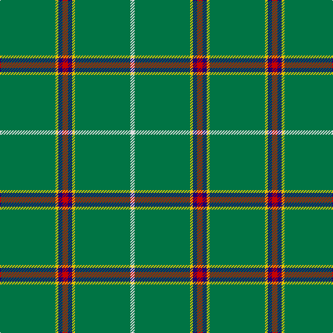 G/80 Y4 DB6 R8 DB6 Y4 G80 LN/6 tartan Tartan detail