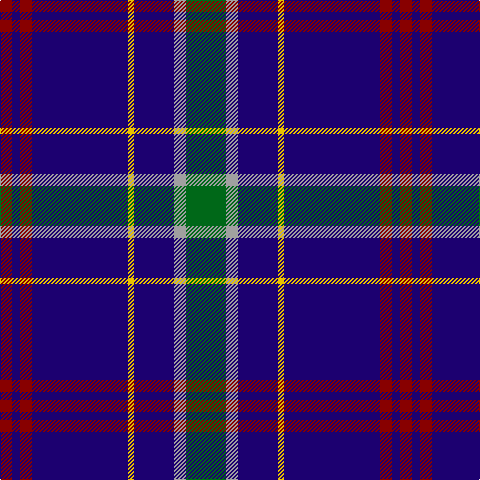 DR/12 DB8 DR12 DB96 Y6 DB40 N12 G/40 tartan Tartan detail