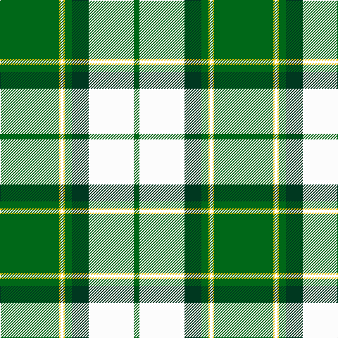 G/84 Y2 W4 Y2 G10 DG24 W64 G/8 tartan Tartan detail