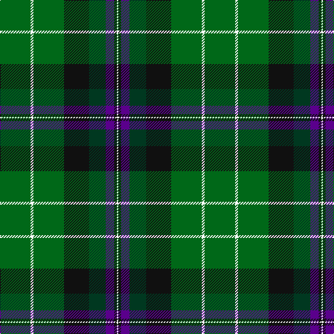 G/44 W4 G44 K36 DG24 P12 K4 W/2 tartan Tartan detail