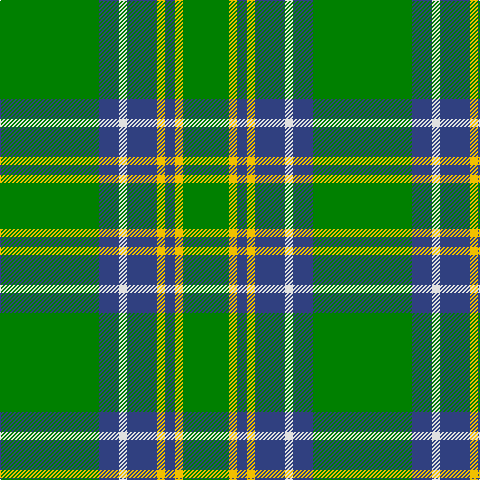 G/99 B20 LN8 B30 Y8 B10 Y8 G/46 tartan Tartan detail