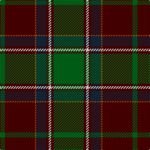 G/8 DR48 DO2 DN16 DR4 W4 DR4 G/48 tartan Tartan detail