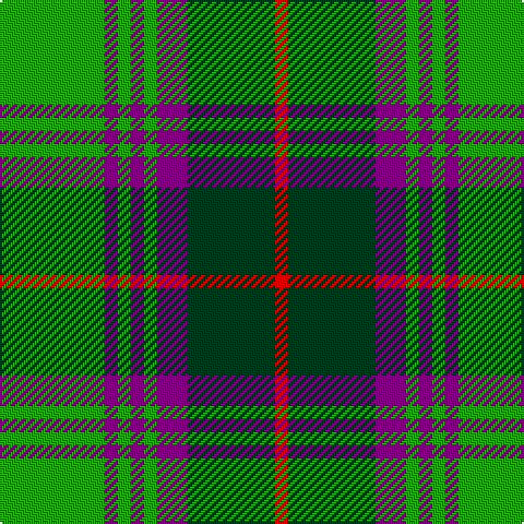 G/48 P6 G6 P6 G6 P14 DG40 R/6 tartan Tartan detail