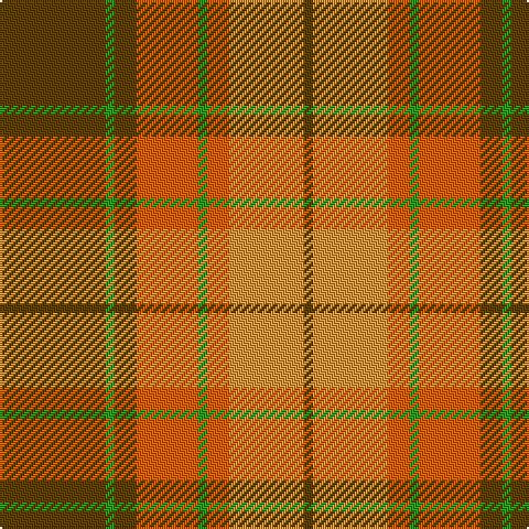 T/48 G4 T10 Oa28 G4 Oa10 O34 T/4 tartan Tartan detail